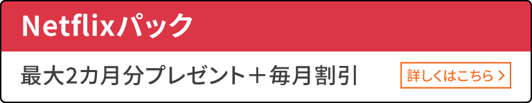 Netflixパック 最大2カ月分プレゼント+毎月割引 詳しくはこちら