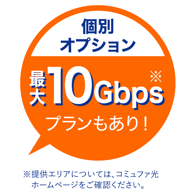 個別オプション最大10Gbpsプランもあり!