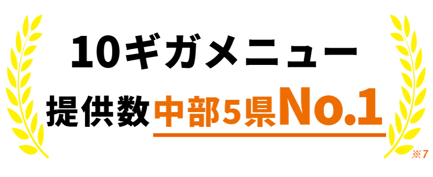 先生活にはコミュファの10ギガメニュー