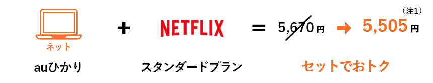 auひかり Netflixパック