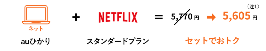 auひかり Netflixパック