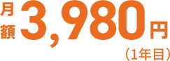 月額3,980円（1年目）