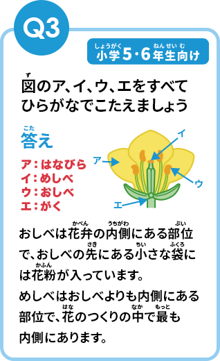 Q3の答え