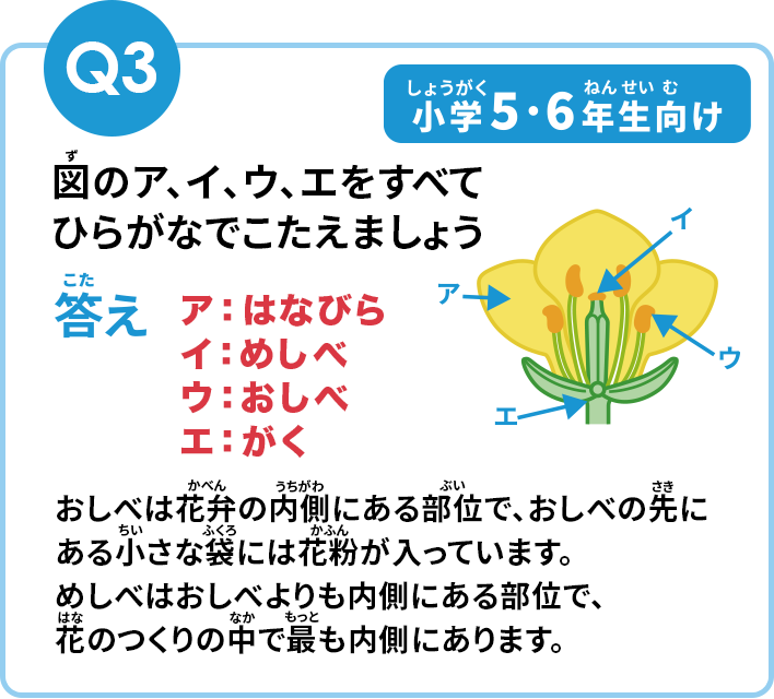 Q3の答え