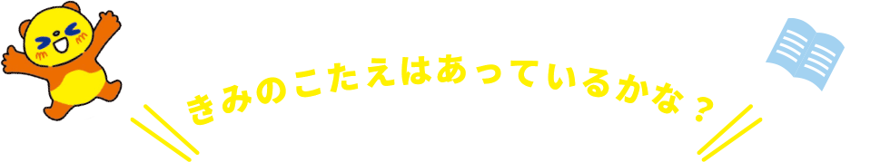 きみのこたえは合っているかな？