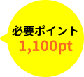 必要ポイント1,100pt