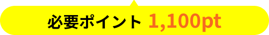 必要ポイント1,100pt