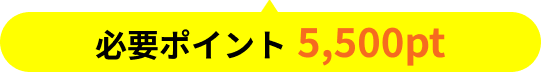 必要ポイント5,500pt