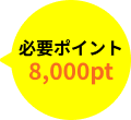 必要ポイント8,000pt