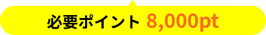 必要ポイント8,000pt