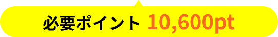 必要ポイント10,600pt