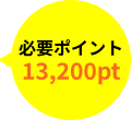 必要ポイント13,200pt