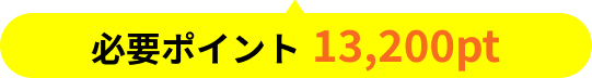 必要ポイント13,200pt