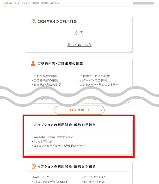 「オプションの利用開始・解約お手続き」を選択します