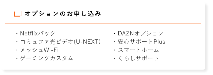 オプションのお申し込み