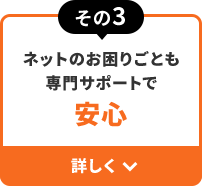 その3 ネットのお困りごとも専門サポートで 安心 詳しく