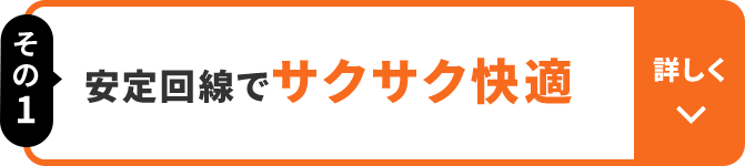 その1 安定回線でサクサク快適 詳しく