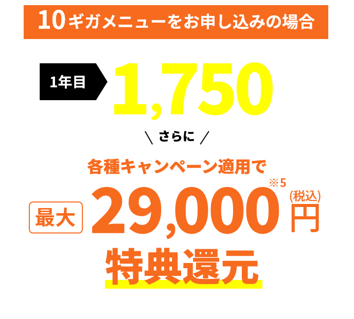 10ギガメニューをお申し込みの場合 一年目月額料金 980円（税込）さらに各種キャンペーン適用で最大29,000円（税込）特定還元